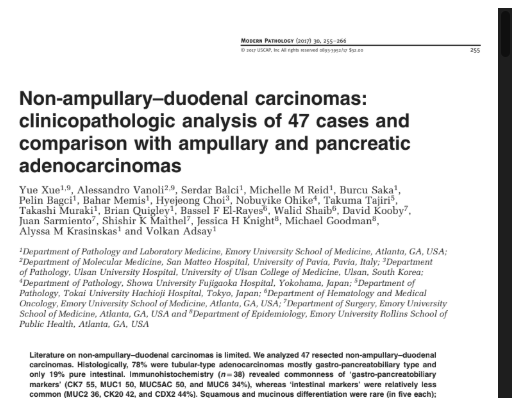 Adenocarcinoma duodenal