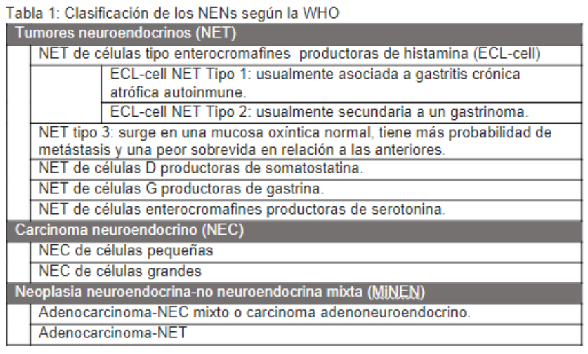 Neoplasia Neuroendocrina Gástrica