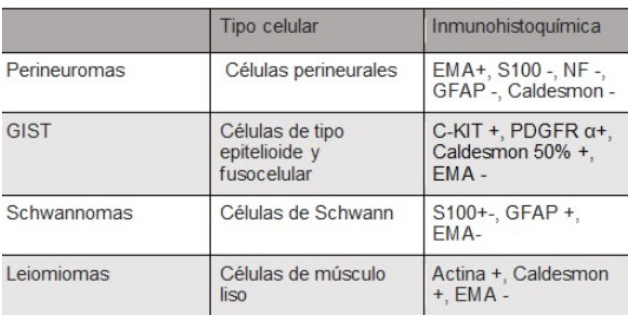 Perineuroma de colon
