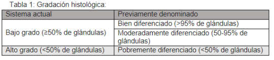 Pseudolipomatosis endoscópica
